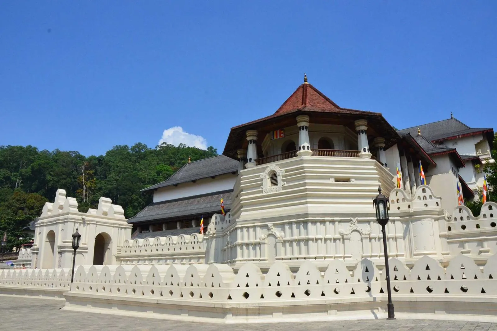 Kandy One Day Tour — journey highlight