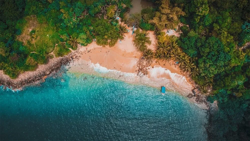 A sheltered Sri Lankan beach edged with tropical forest