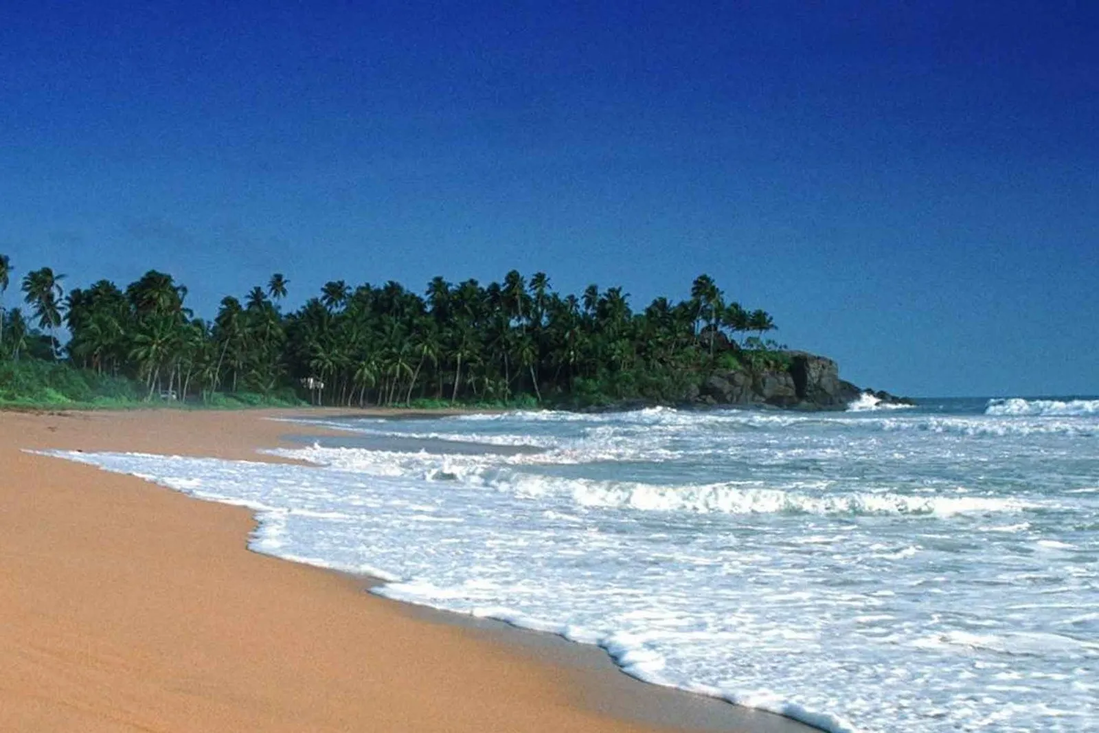 Sri Lankan Splendours