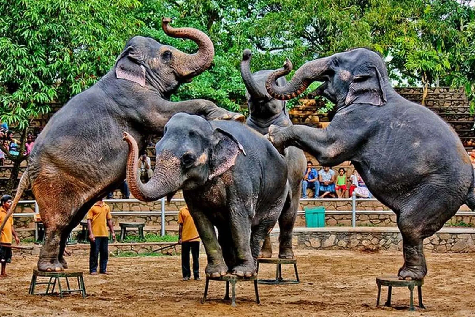 National Zoological Garden – Dehiwala