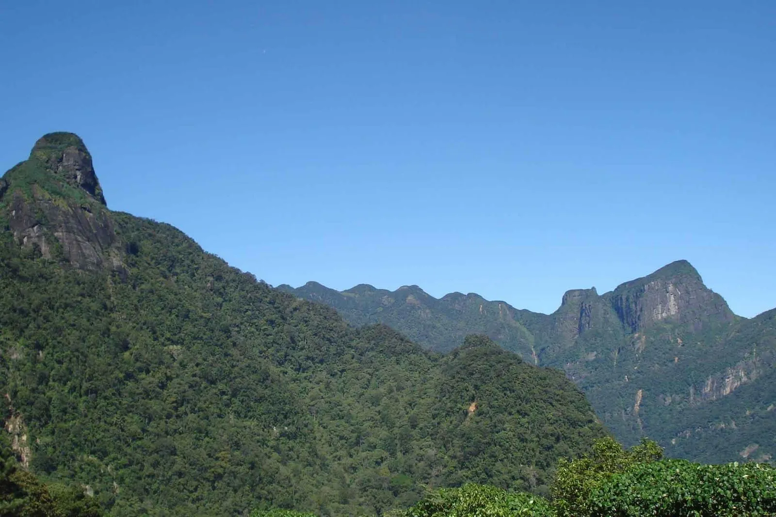 Knuckles Mountain