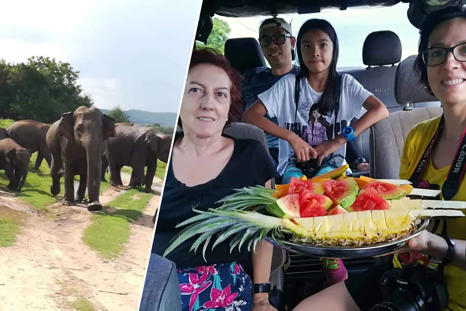 Udawalawa Safari One Day Tour — journey highlight