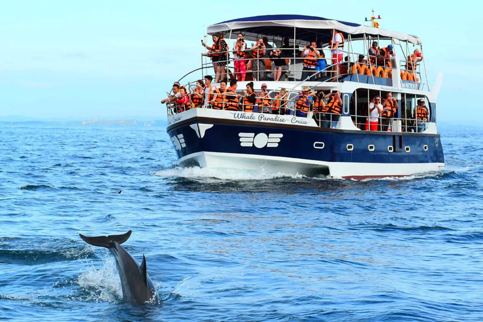 Mirissa Whale Watching
