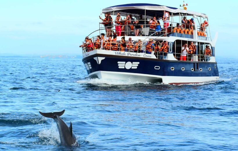 mirissa whale watching