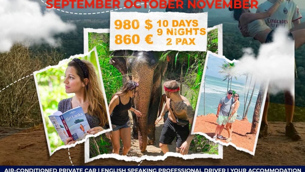 Special Offer - Drivers in Sri Lanka - Sri Lanka Tours