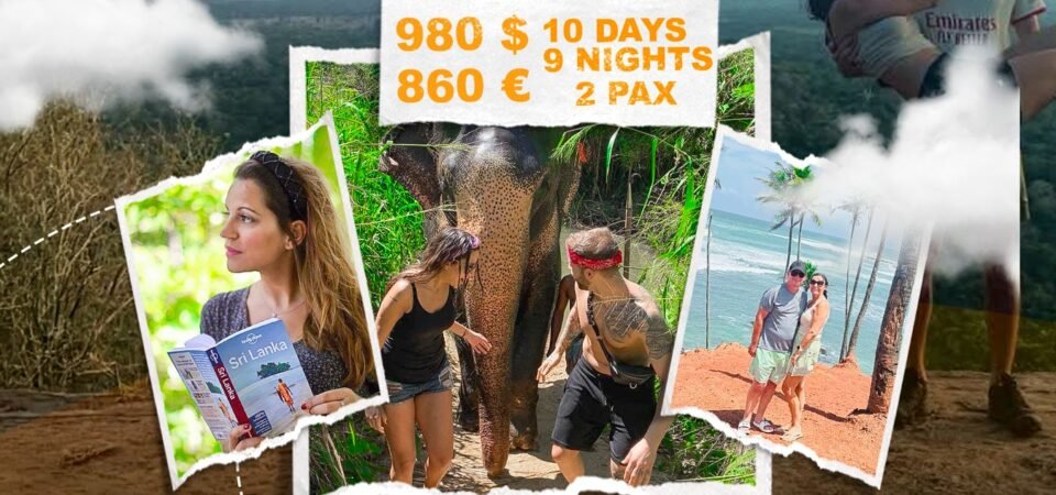 Special Offer - Drivers in Sri Lanka - Sri Lanka Tours